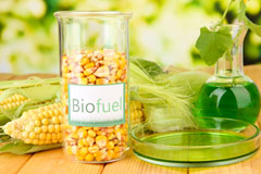 Inverey biofuel availability